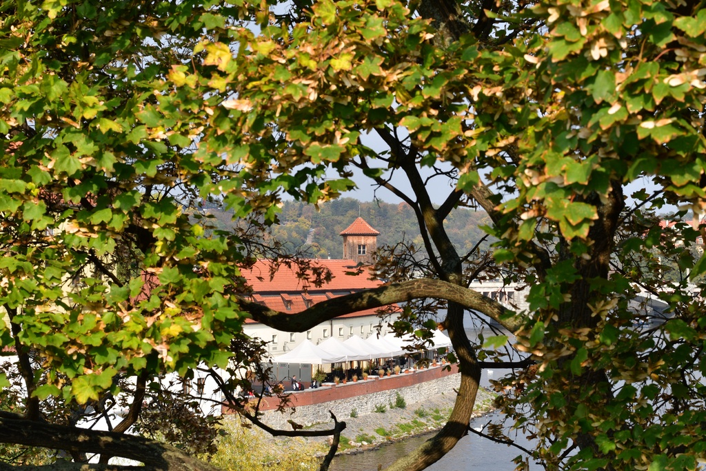 2018-10 Prague/City center/DSC_5975.JPG